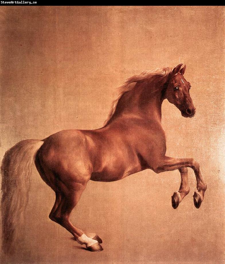 STUBBS, George Whistlejacket r